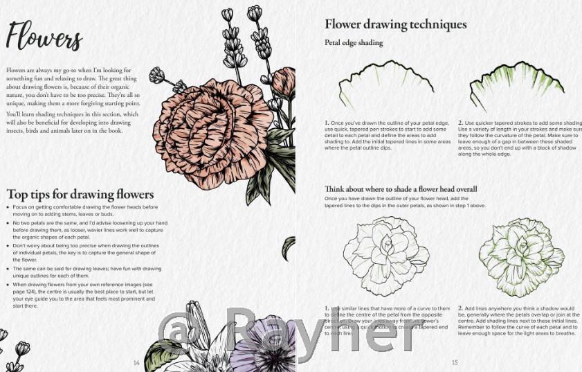 Libro Book of Drawing Flora and Fauna