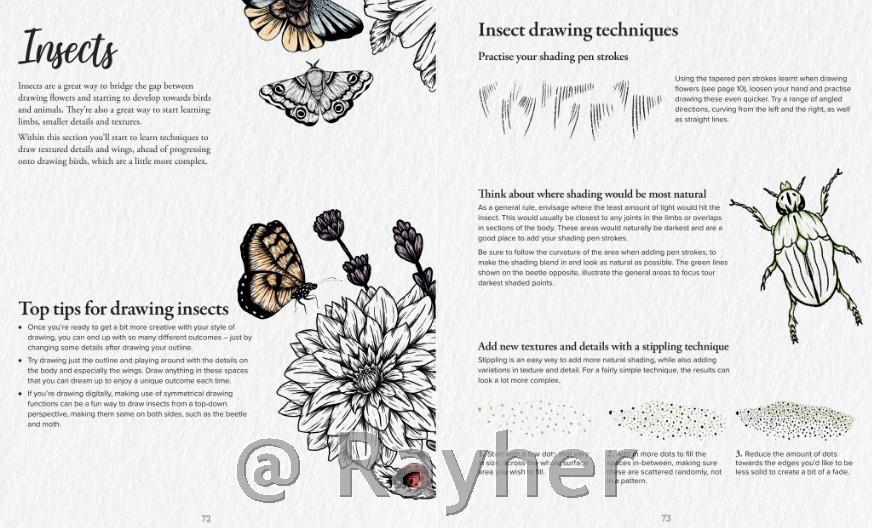 Libro Book of Drawing Flora and Fauna