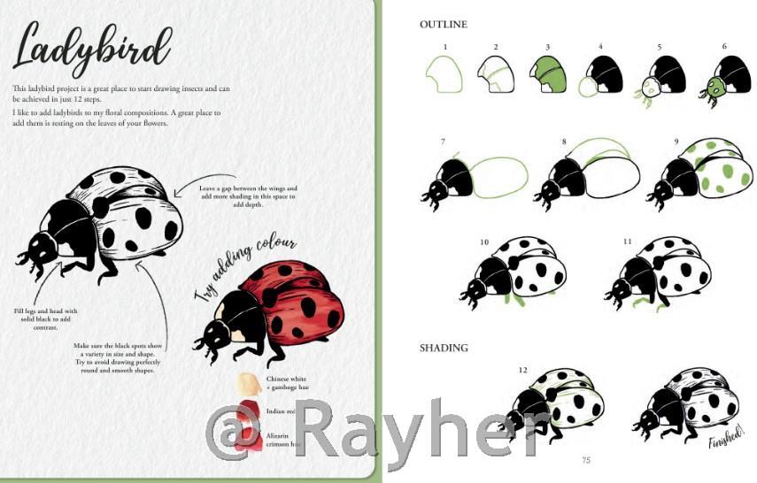 Libro Book of Drawing Flora and Fauna