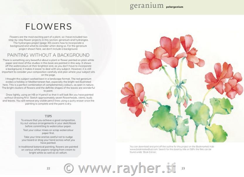 Knjiga Watercolour Botanicals