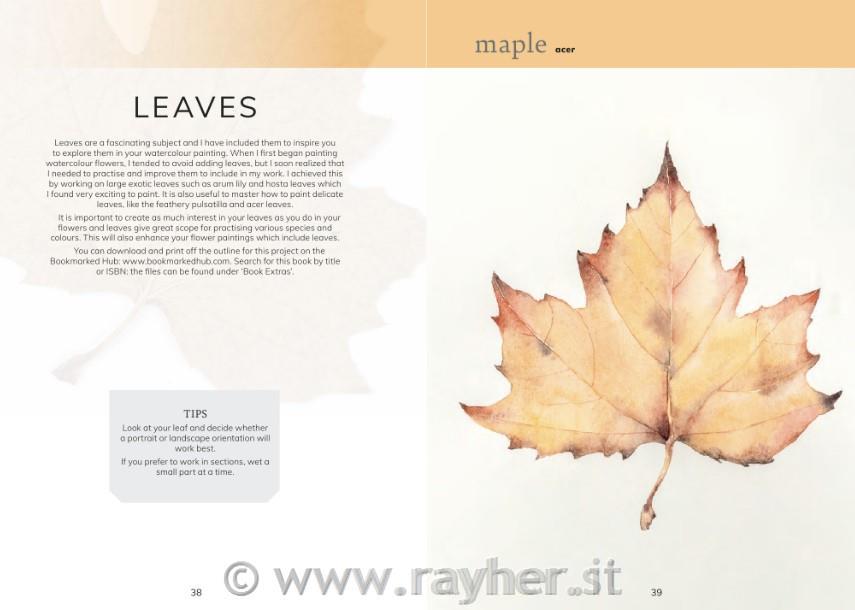 Knjiga Watercolour Botanicals