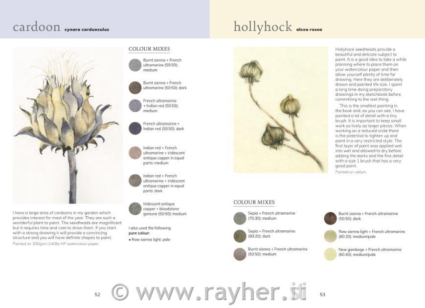 Knjiga Watercolour Botanicals