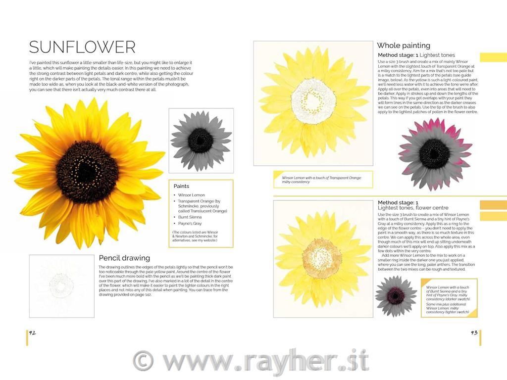 Libro Watercolour World