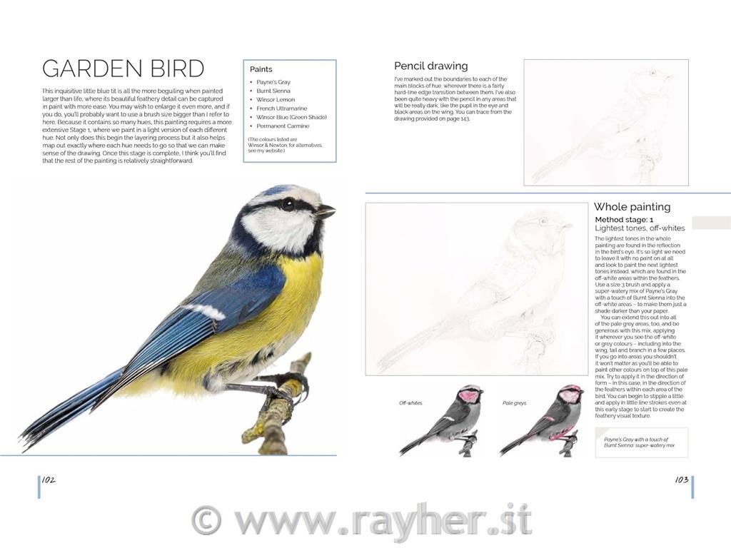 Libro Watercolour World