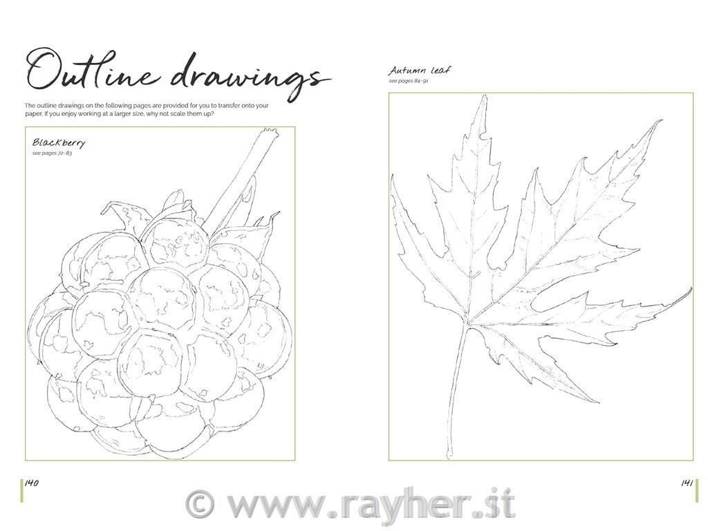 Libro Watercolour World