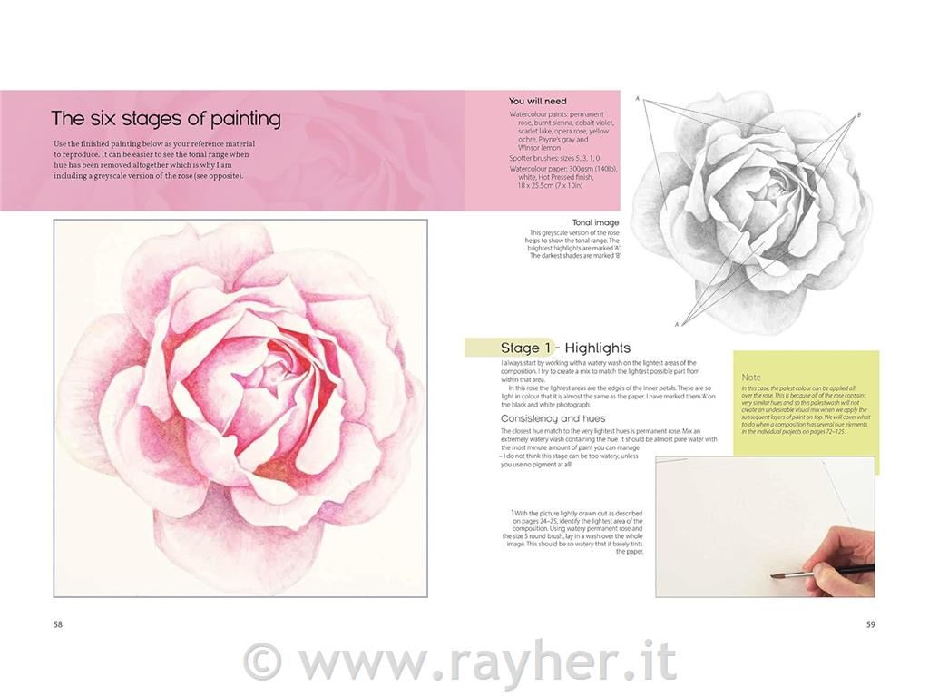 Libro The Modern Flower Painter