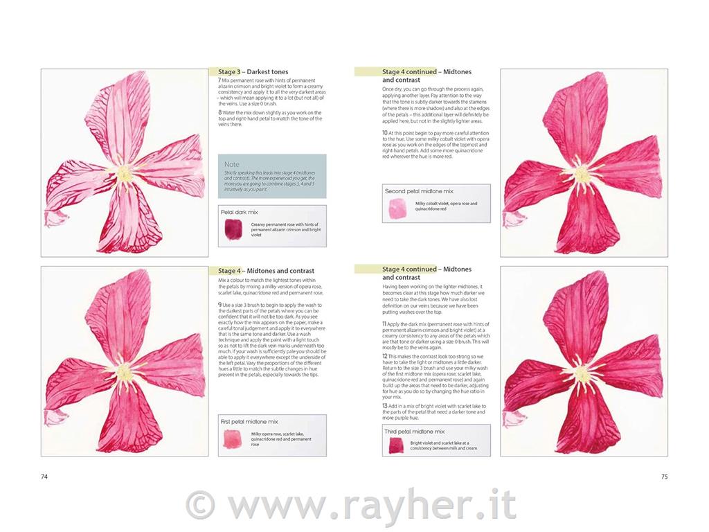 Libro The Modern Flower Painter