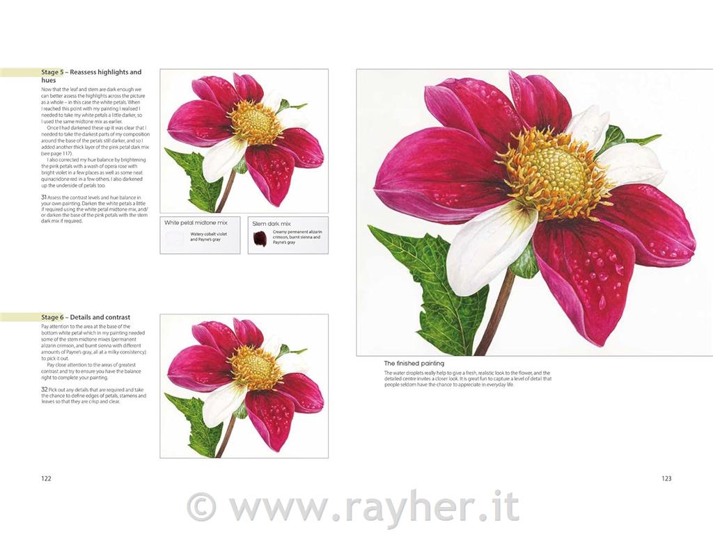 Libro The Modern Flower Painter