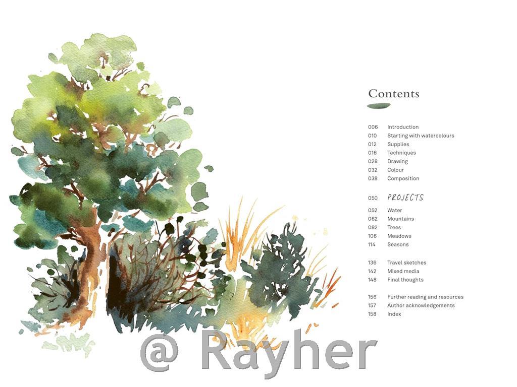 Libro Painting Landscapes