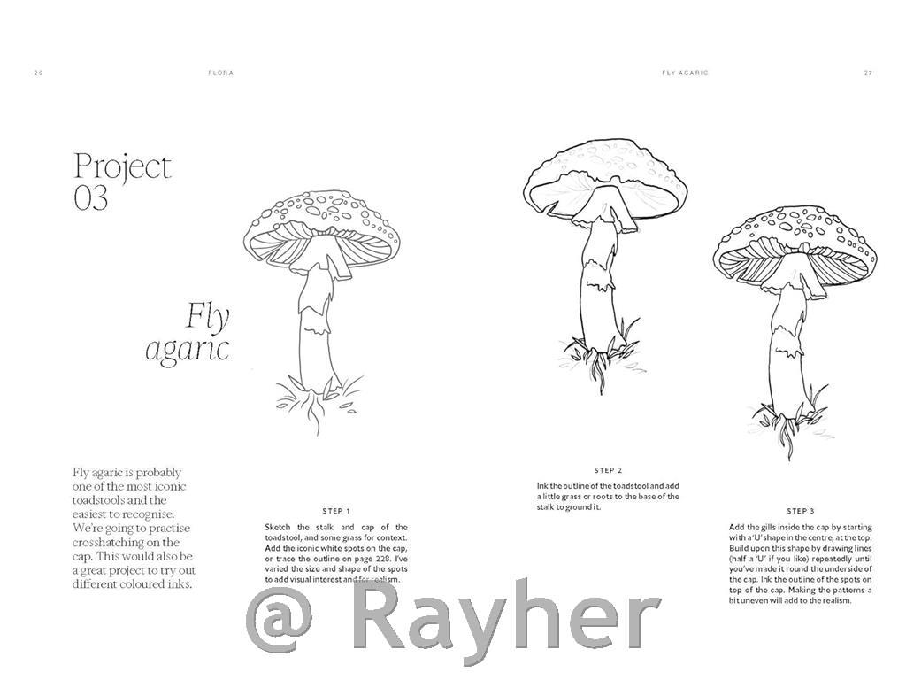 Libro 15 Minute Art Pen & Ink