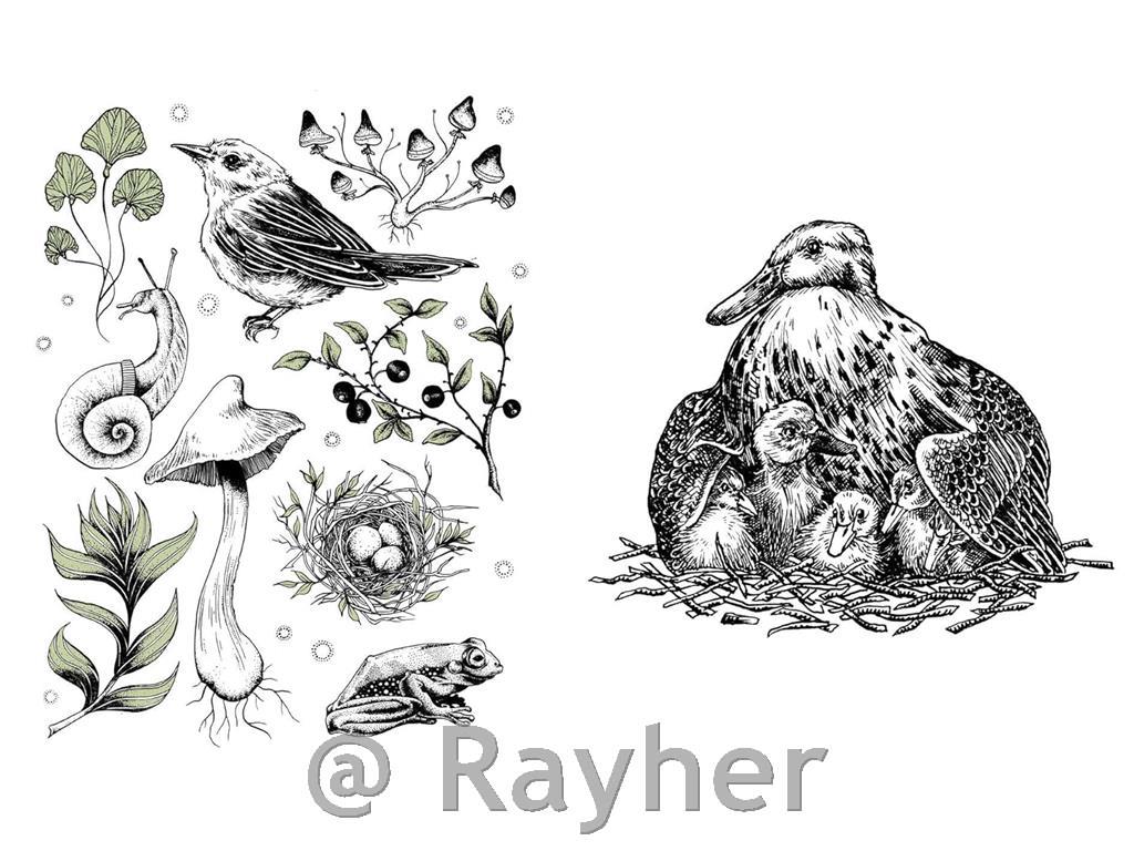 Libro 15 Minute Art Pen & Ink