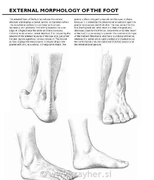 Knjiga Drawing: A Complete Guide