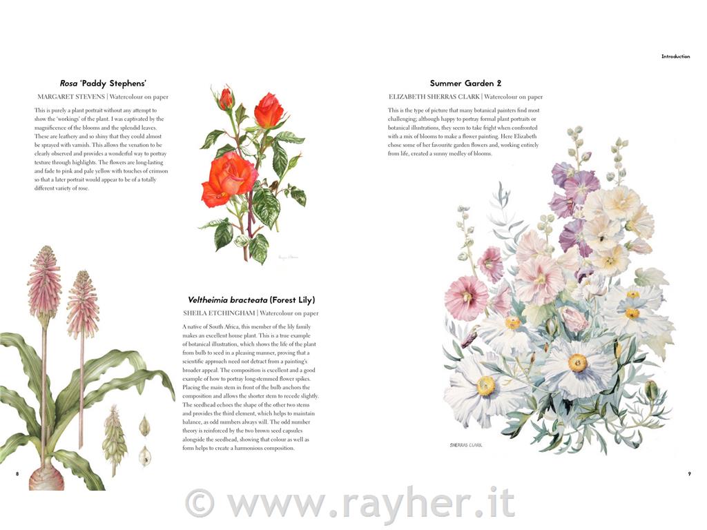 LIBRO BOTANICAL PAINTING