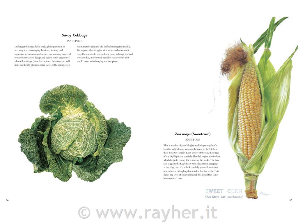 LIBRO BOTANICAL PAINTING