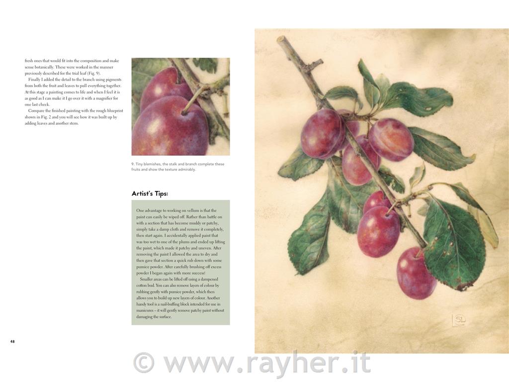 LIBRO BOTANICAL PAINTING