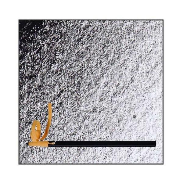 Peel Off matita a olio nera