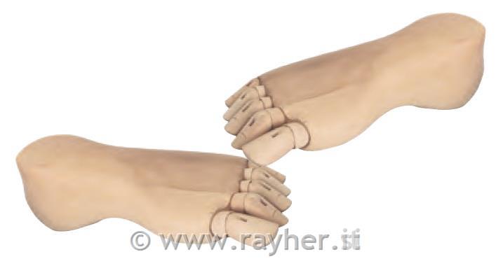 Piede di legno, femminile 21cm, destro