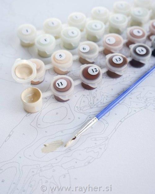 Slikanje po številkah;Ognjemet v Sidneyu