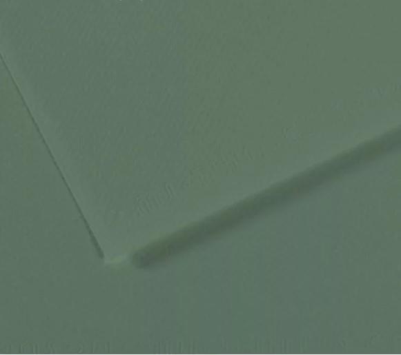 Foglio Canson Mi-Teintes 50x65 cm 160g/m; 190 Verde salsa