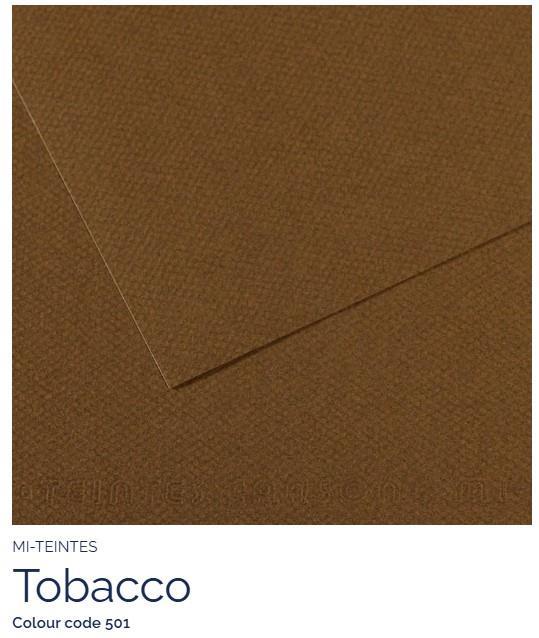 Foglio Canson Mi-Teintes 50x65 cm 160g/m; 501 Bruno scuro