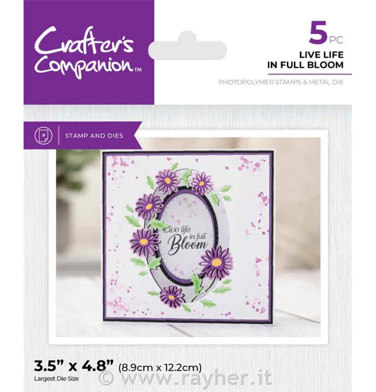 Timbro & Fustella - Live Life in Full