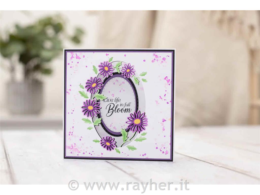 Timbro & Fustella - Live Life in Full