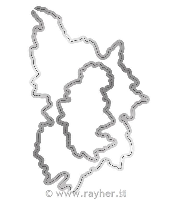 Fustella e timbri - Festive Poinsettia