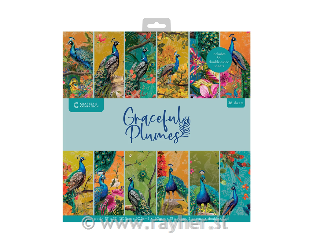 Set di carta 30x30cm Graceful Plumes