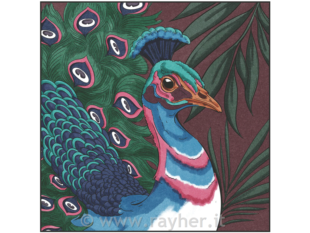 Flomastri Spectrum Noir Jewel Tones, set 12