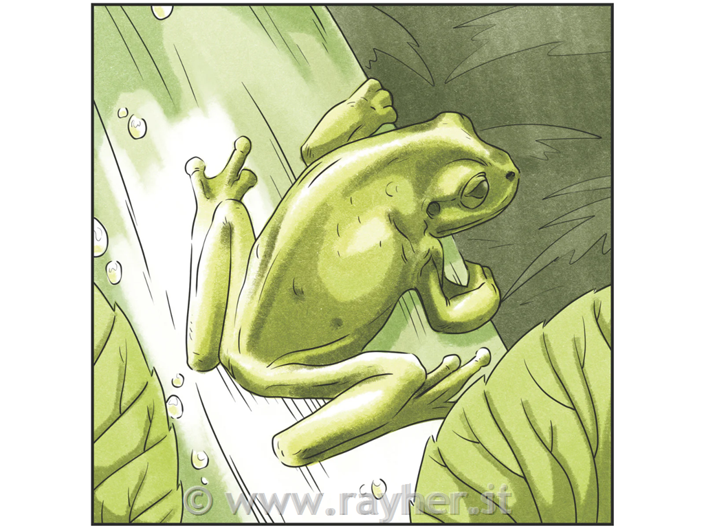 Spectrum Noir-Classique 6pc-Calming Greens