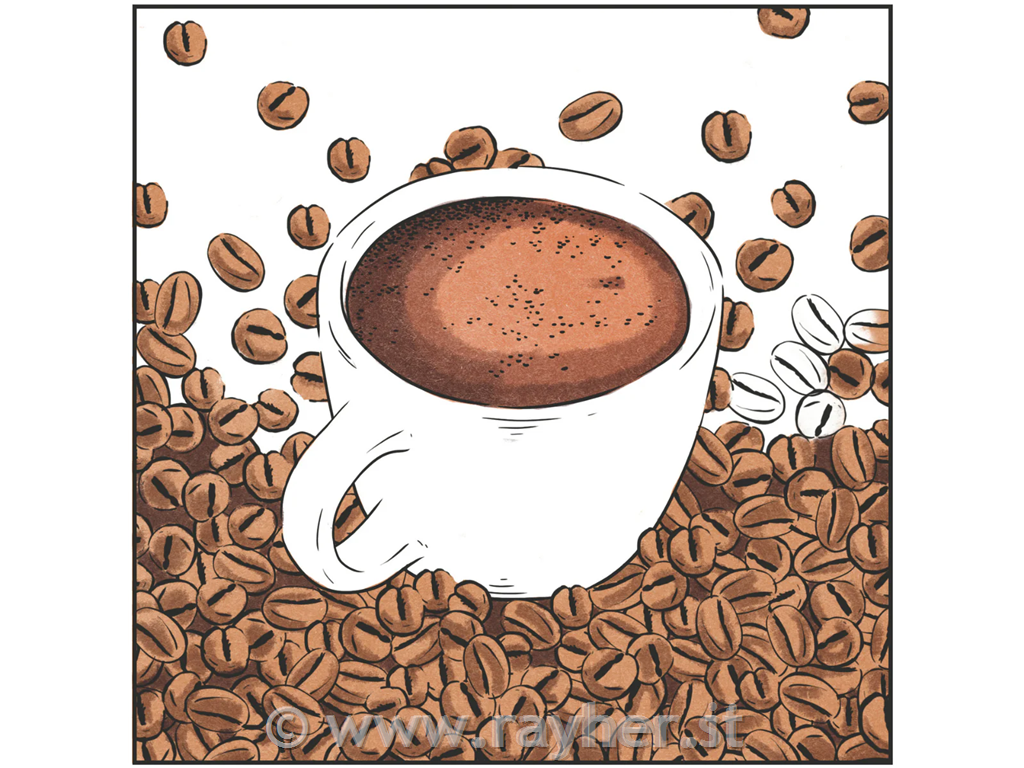 Spectrum Noir-Classique 6pc-Earthy Browns