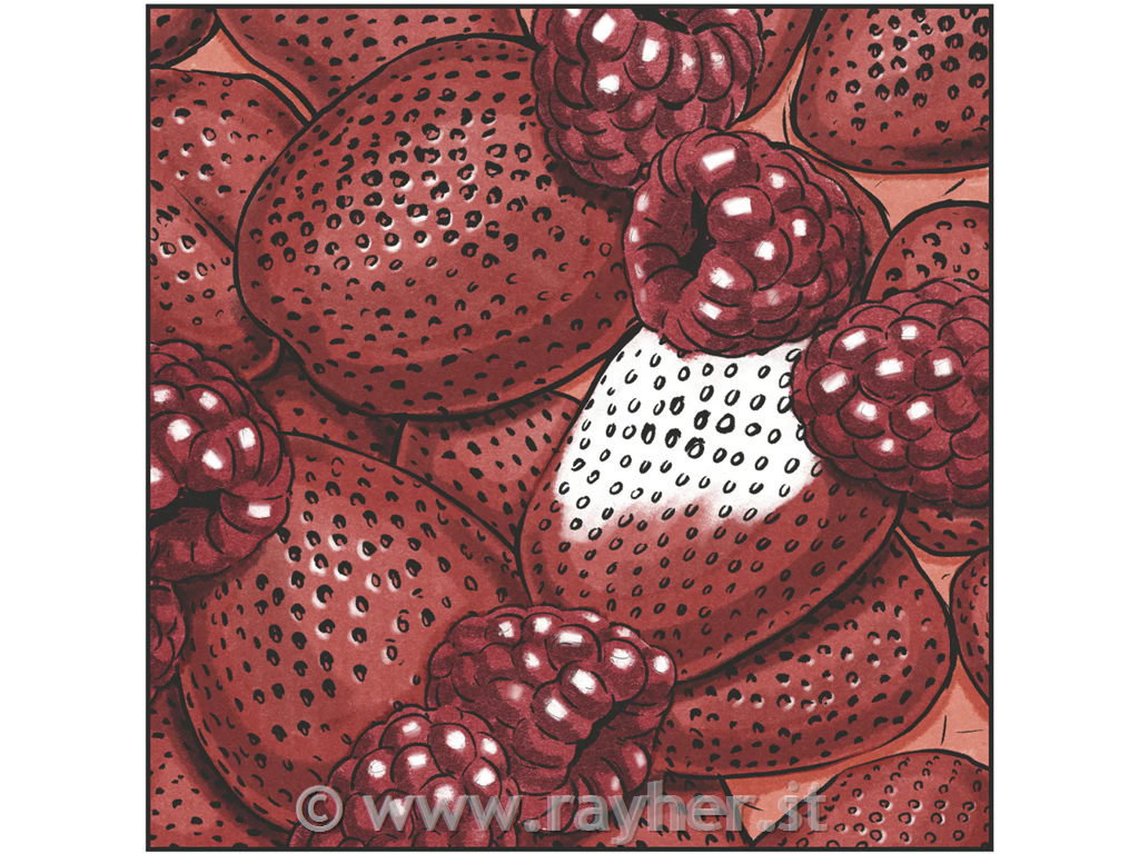 Spectrum Noir-Classique 6pc-Fiery Reds