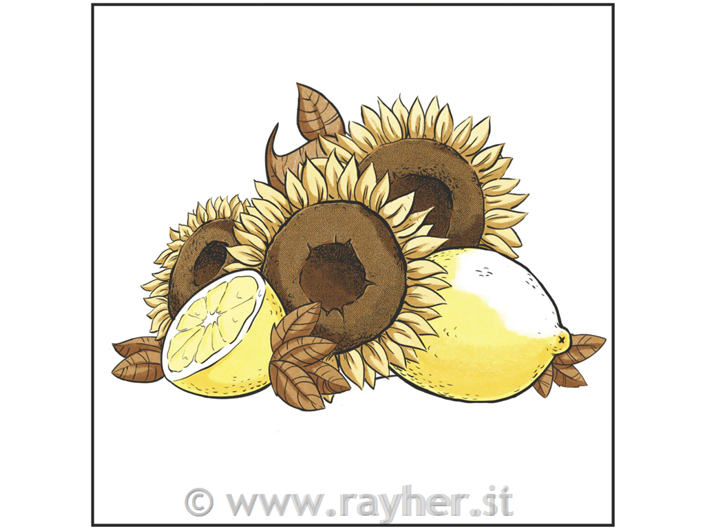 Spectrum Noir-Classique 6pc- Sunny Yellows