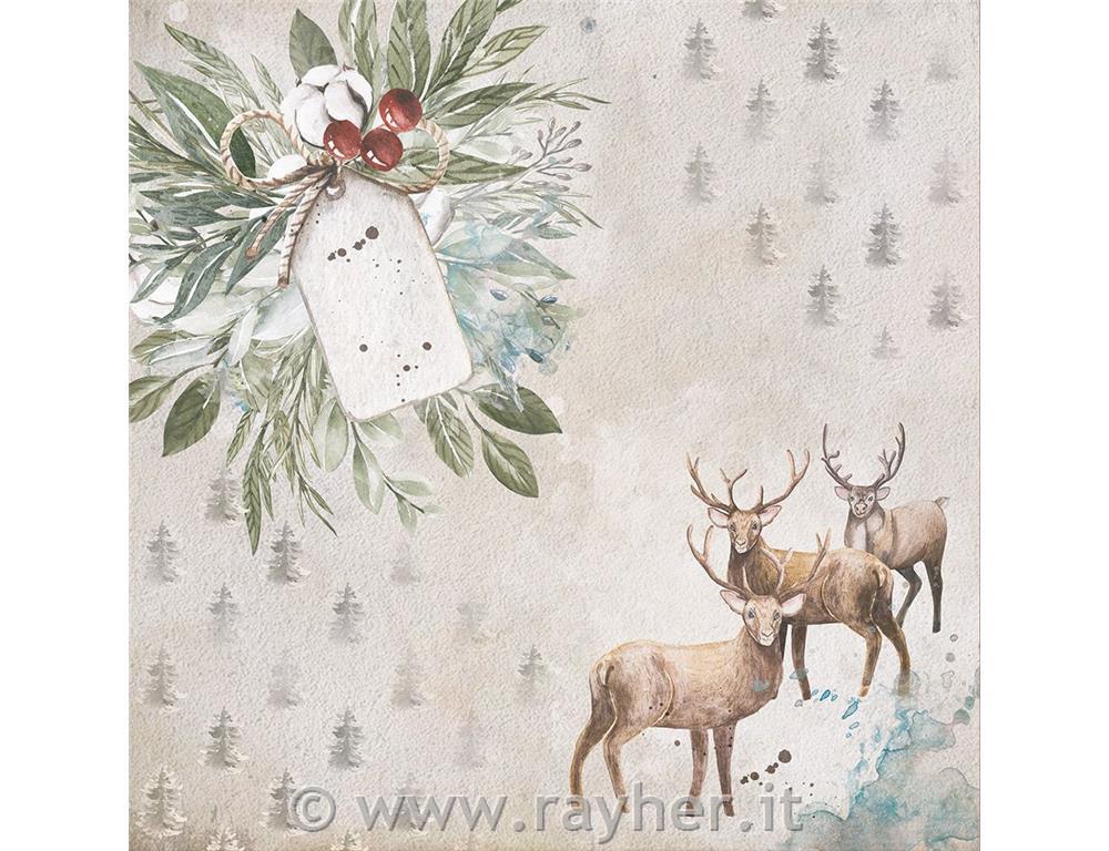 Set di carta 30x30 The Reindeer Collecti