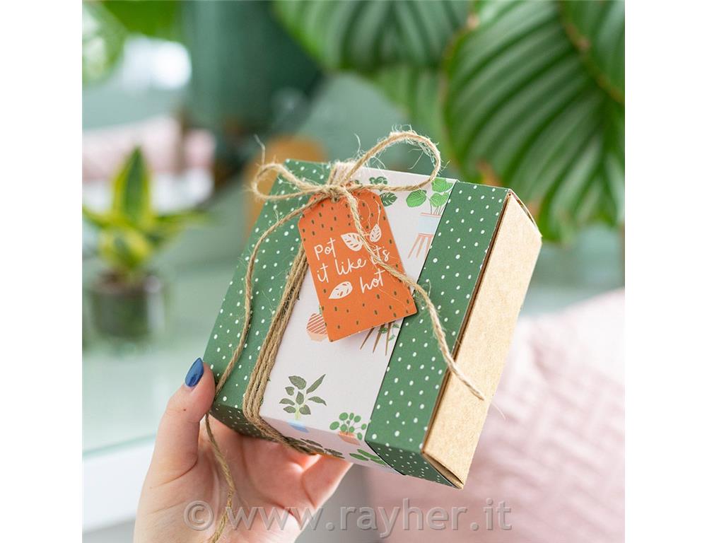 Set di carta Plant Parent 30x30cm