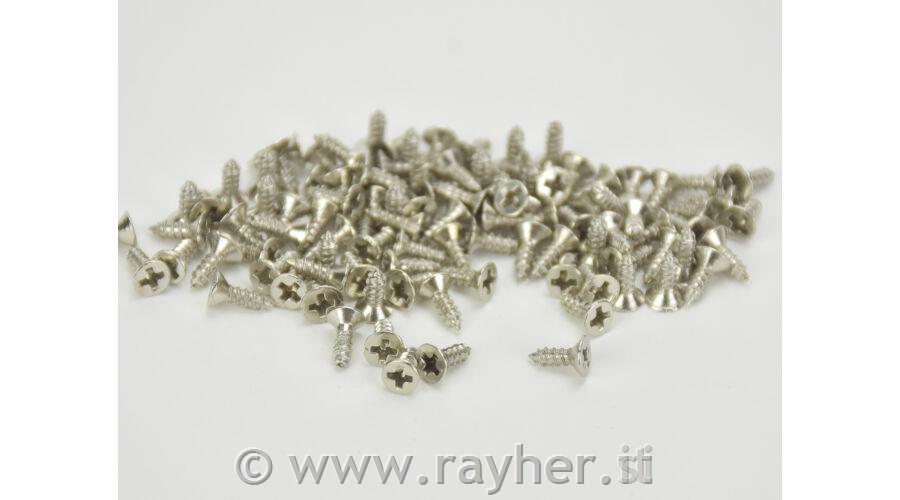 Viti in argento, 100 pezzi, 2x6 mm