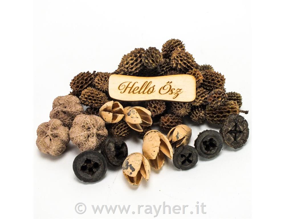 Confezione di decorazioni autunnali