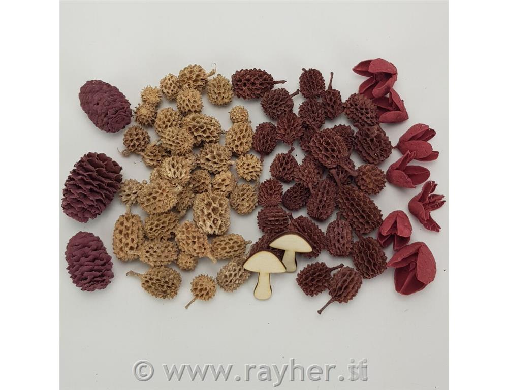 Confezione di decorazioni autunnali