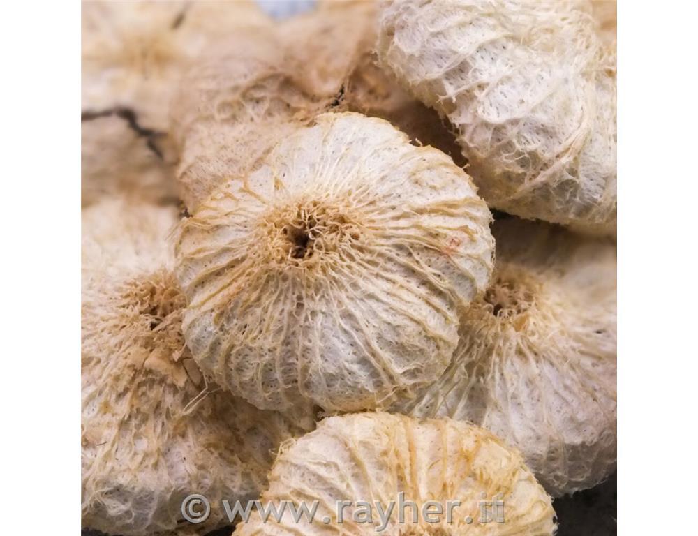 Paket za dekoracijo, natur, posušen česen, set 10