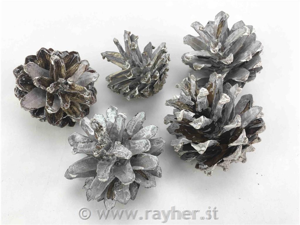 Storži zasneženi 5 kosov