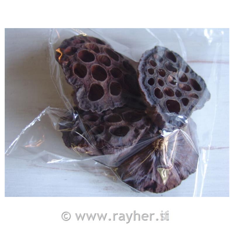 Decorazione natur, loto 4pz