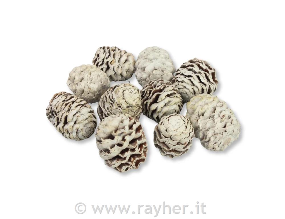 Pigne innevate – set 10