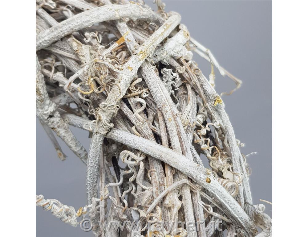 Venec pleten, beljen, 24cm