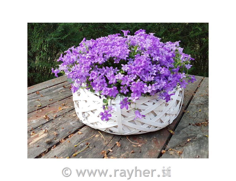 Cestino, bianco, 25cm