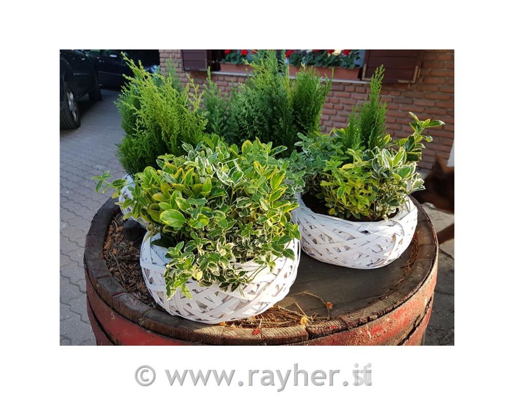 Cestino, bianco, 25cm