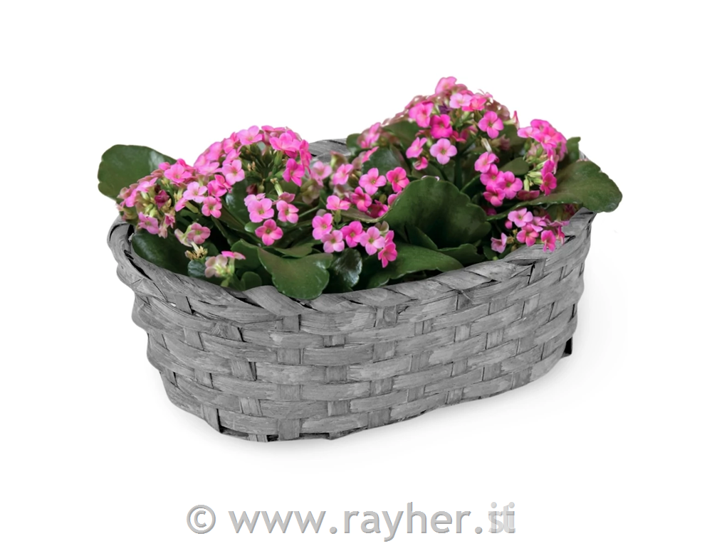 Cestino grigio, 16x24x9 c