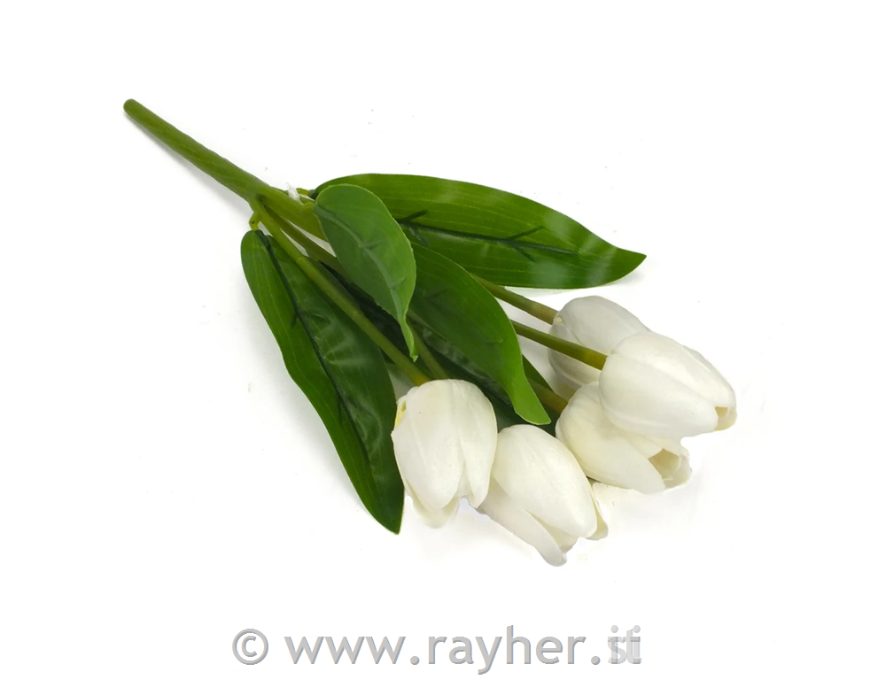 Mazzo di tulipani, 5 fiori, 30cm, alba
