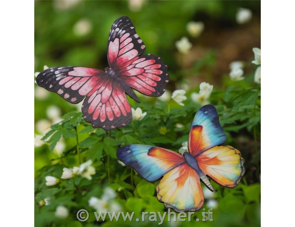 Decorazioni in legno, set4