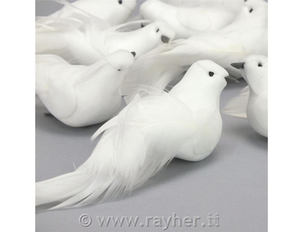 Golob, s sponko 4,5x14cm, 1 kos