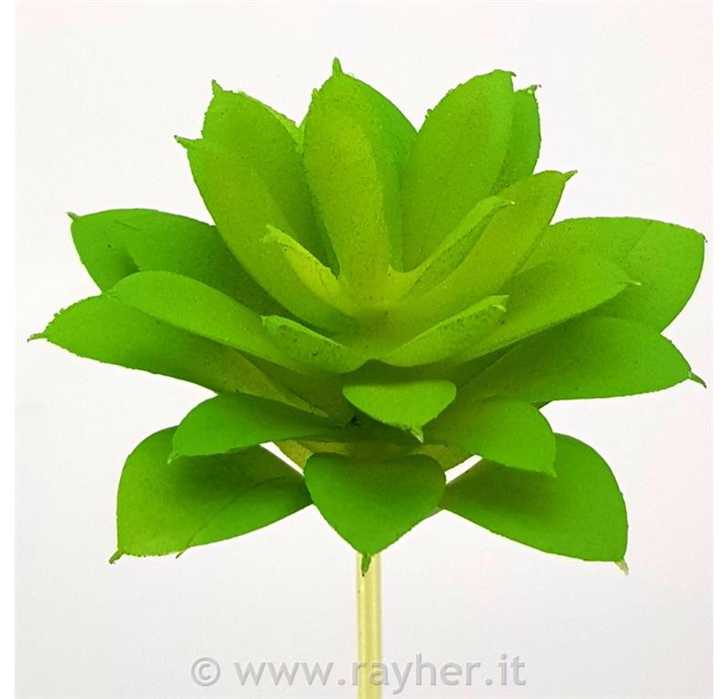 Dekorativno zelenje, netresk